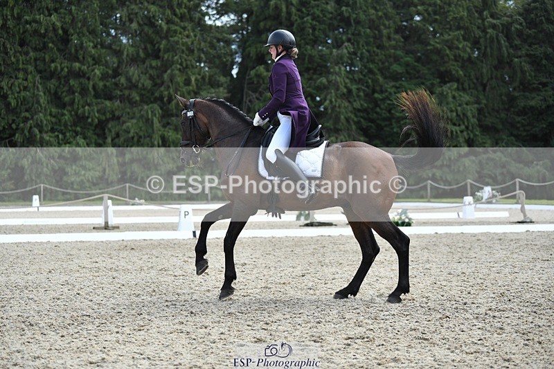 230812-134706-04503 - Cls 7 FEI PSG Bronze