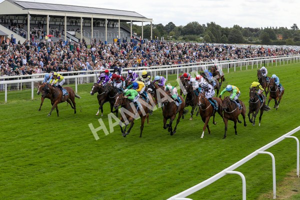 210824-Race 1-Jm Jungle-7137 - Race 1 1.50pm Symphony Group Handicap