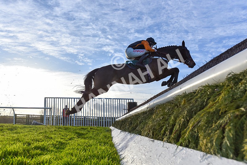 010124-Race 3-Conquredalofeurope-2 - Race 3