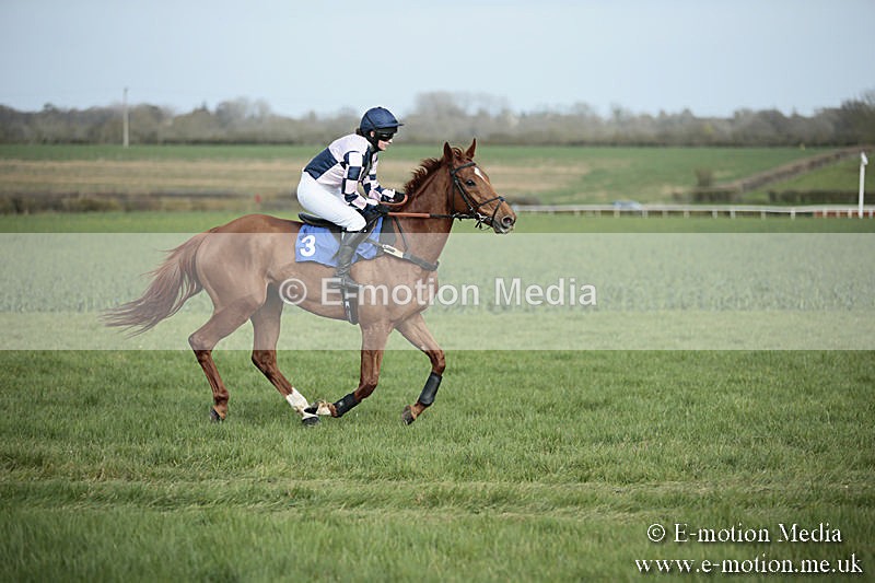PtP 230319 314 - VWH Hunt Siddington Point-to-Point Racing 23/03/19