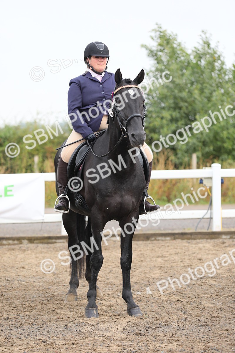 SBM_21384 - Class 805 - Ridden Veteran Horse