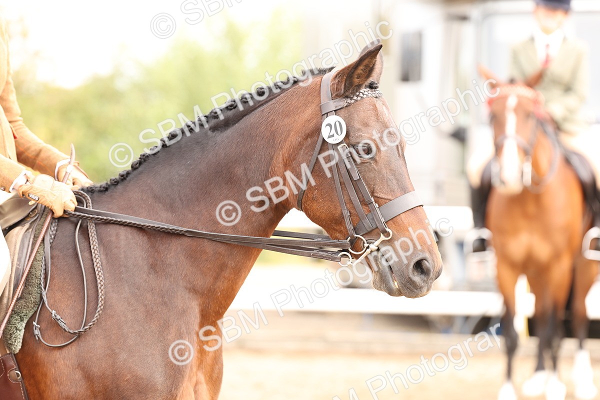 SBM_01551 - Class 52 - Ridden Veteran