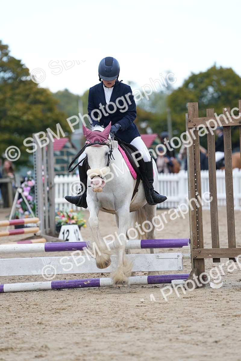 SBM_20673 - J49 - Open 50cm