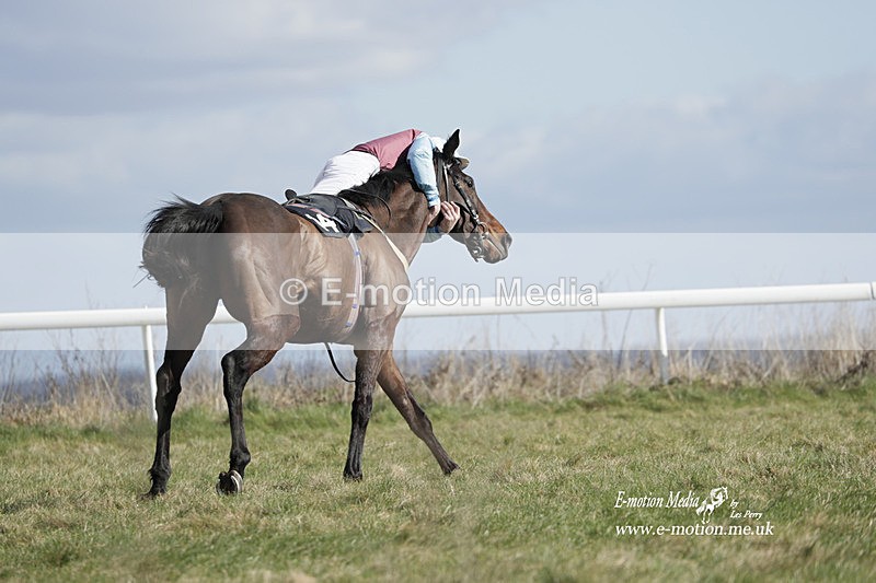 PtP 260223 509 - South & West Wilts Point-to-Point Larkhill 26/02/23