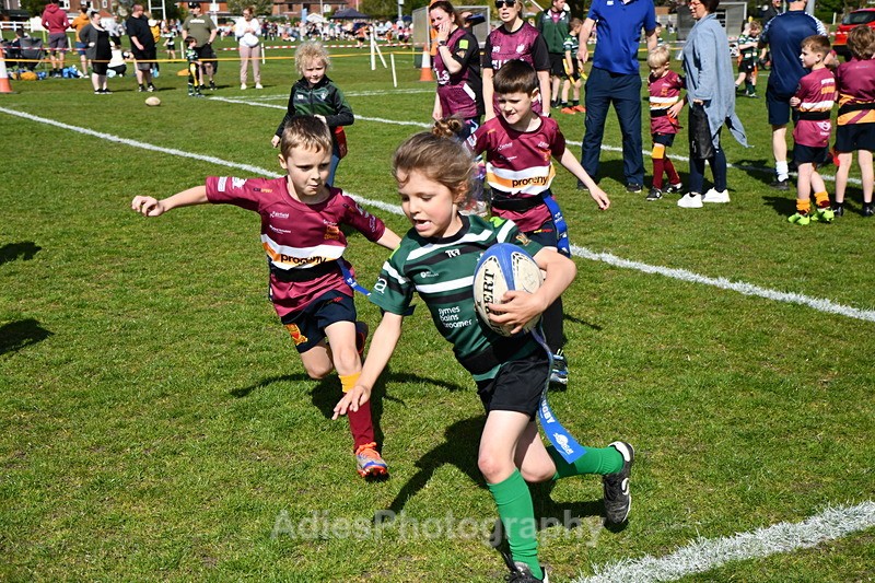  - Selby Rugby Festival 2025