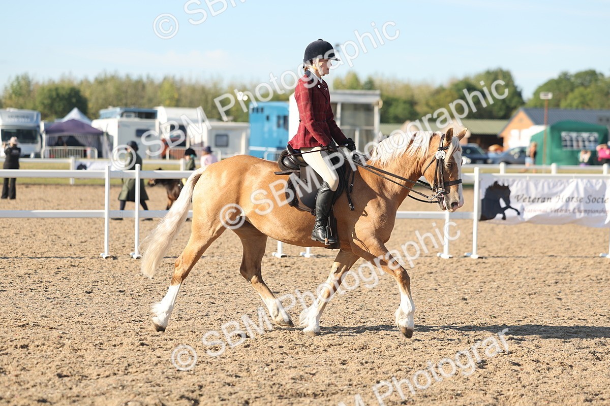 SBM_11012 - Class 302 - Ridden M&M Large Breeds