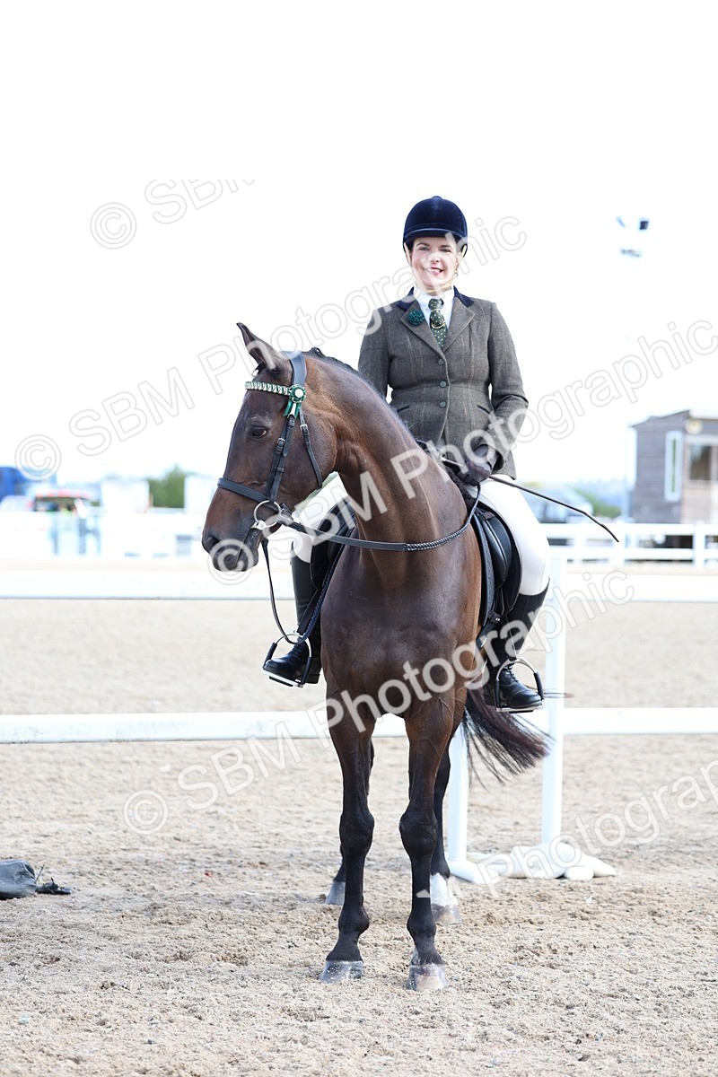 SBM_10857 - Class 305 - Ridden Foreign Breeds - Pure Bred
