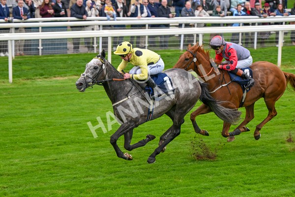101025-Race 1-Ice Max-6209 - Race 1 William Hill Autumn Mile Handicap at York