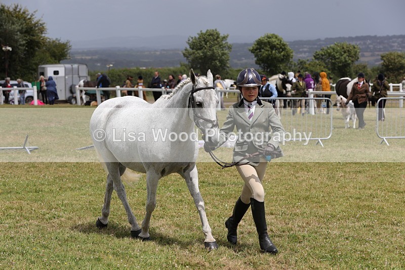 1X9A4944 - Class 35: Veteran In Hand