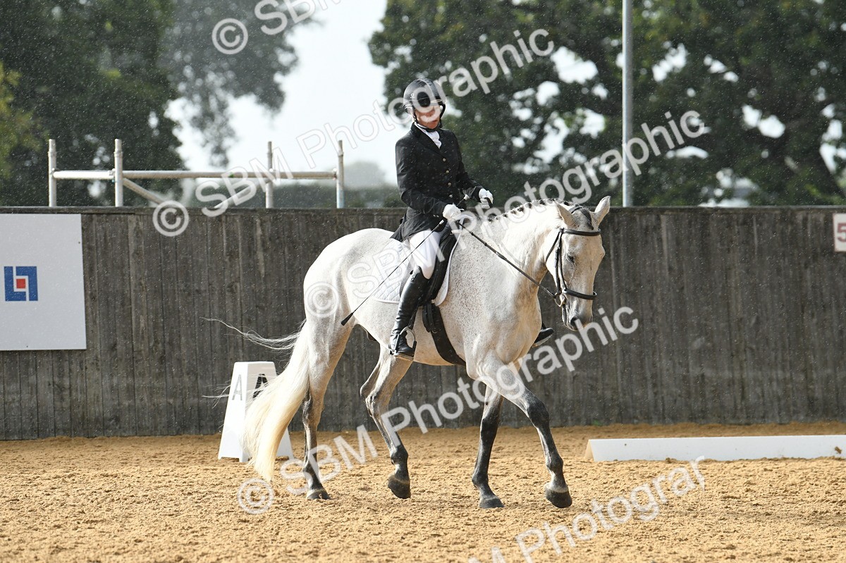 SBM_11157 - D28 Elementary Taster Elementary 42