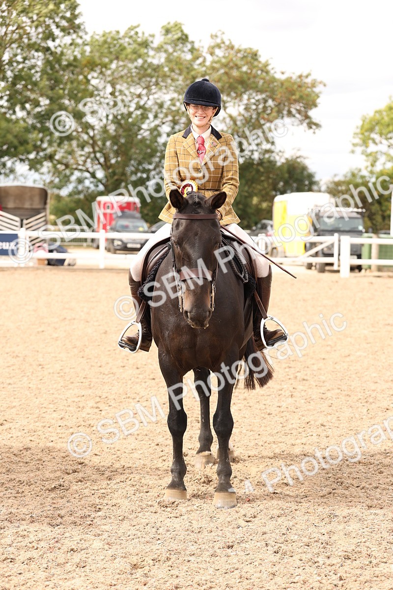 SBM_16534 - Class 212 - Ridden Hunter - Small