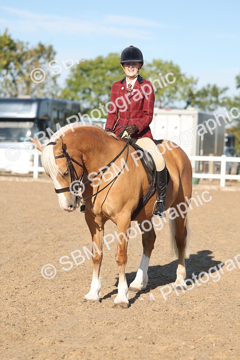 SBM_11064 - Class 302 - Ridden M&M Large Breeds