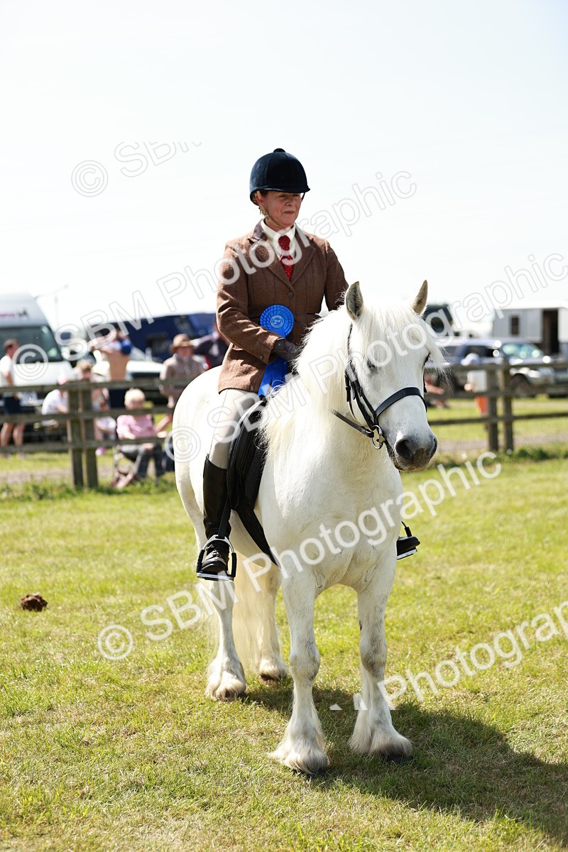 SBM_07196 - Class 26-30 - Mountain and Moorland Ridden