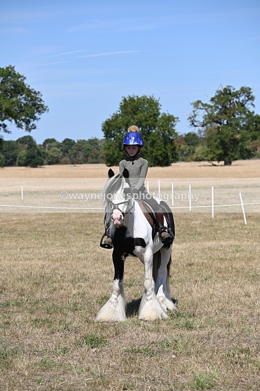 WJ6_9047 - Class 38 Ridden Riding Horse/Pony