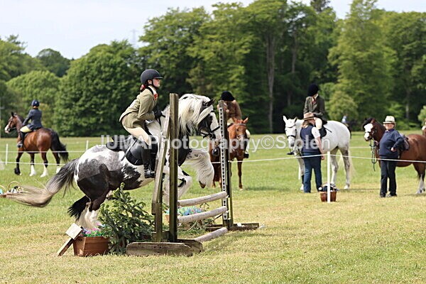 IMG_3146 - Working Hunter