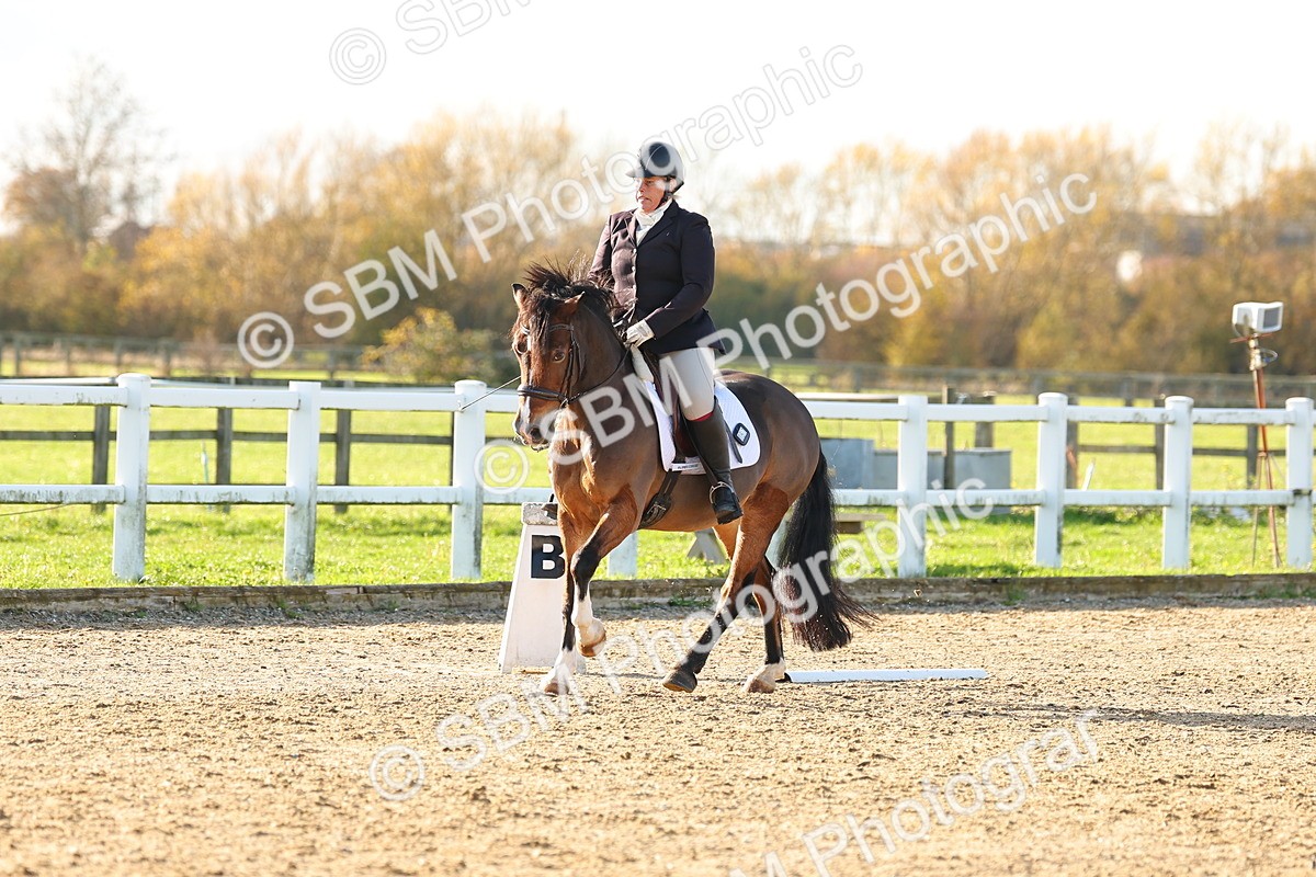 SBM_001676 - Medium 4