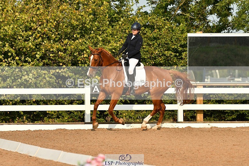 250817-090106-06727 - 080-Elizabeth.StoneZiggy