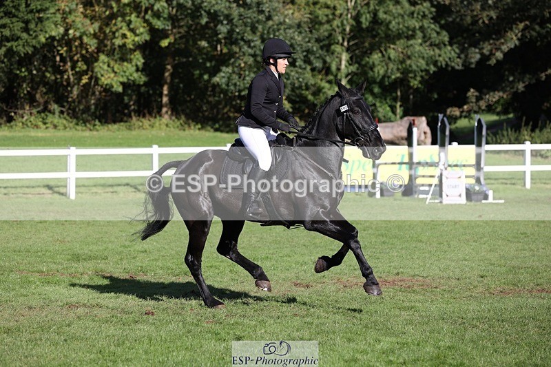 231022-143352-28207 - 505-MR.DARCY-Eleanor.Newcombe-TrotUp+SJ