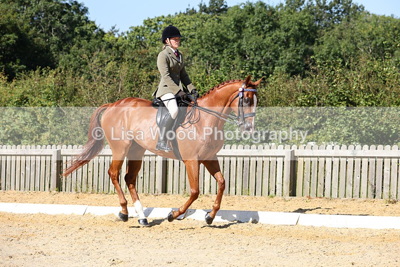 1X9A7882 - Class 10:Riding Horse