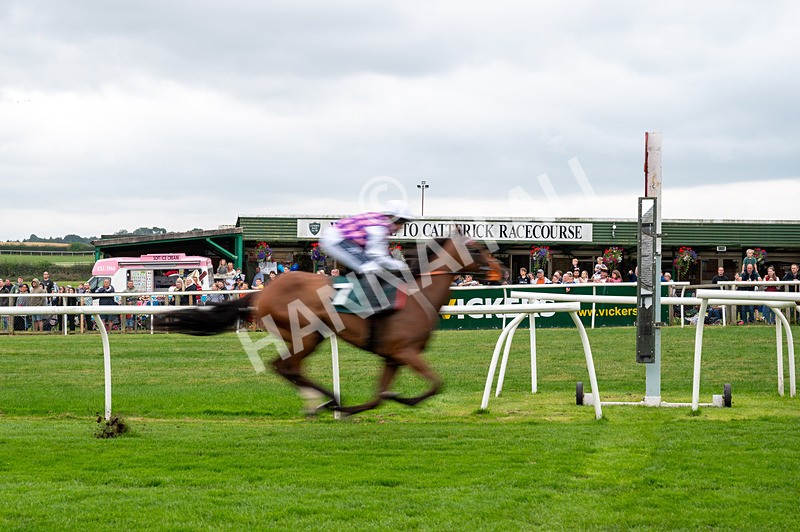 190824-Race 1-Shes A Novelty-4229 - Race 1