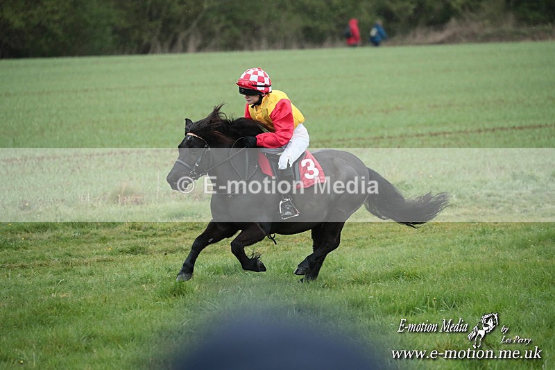 SHETPR 210425 123 - Shetland Ponies Paxford Races 21/04/25