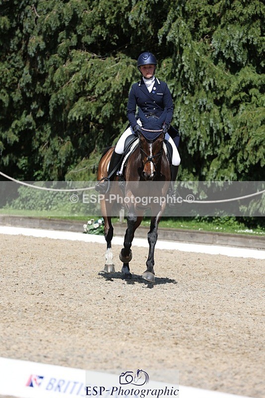 230526-151621-06667 - 379-QUIZICAL_Z-Alice_Hallows-WEDTrotUp+DR