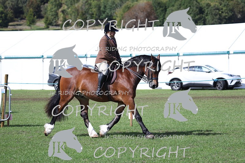 APP_3503 - Class 12 M&M ridden