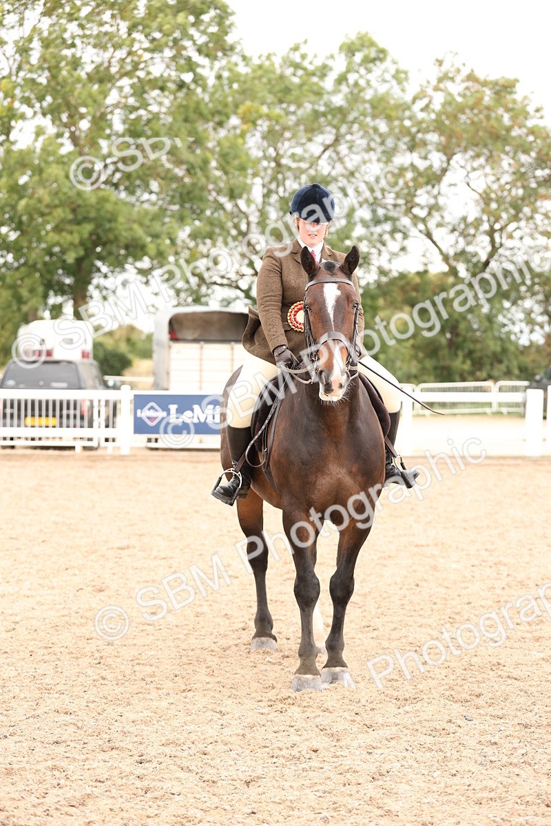 SBM_19601 - Class 215 - Ridden Show cob