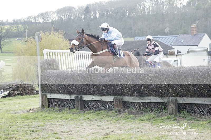 PtP 080423 972 - Dingley Races The Woodland Pytchley Hunt PtP 08/04/23