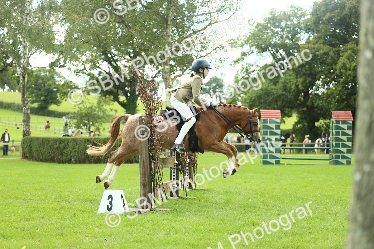 SBM_44675 - S31 - Working Hunter Pony