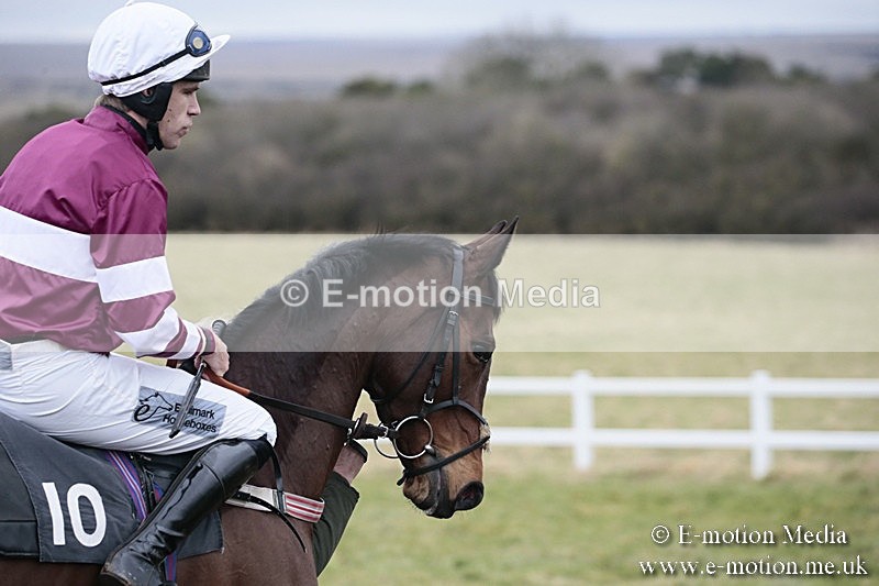 PtP 180218 348 - Combined Services Point-to-Point Larkhill 18/02/18