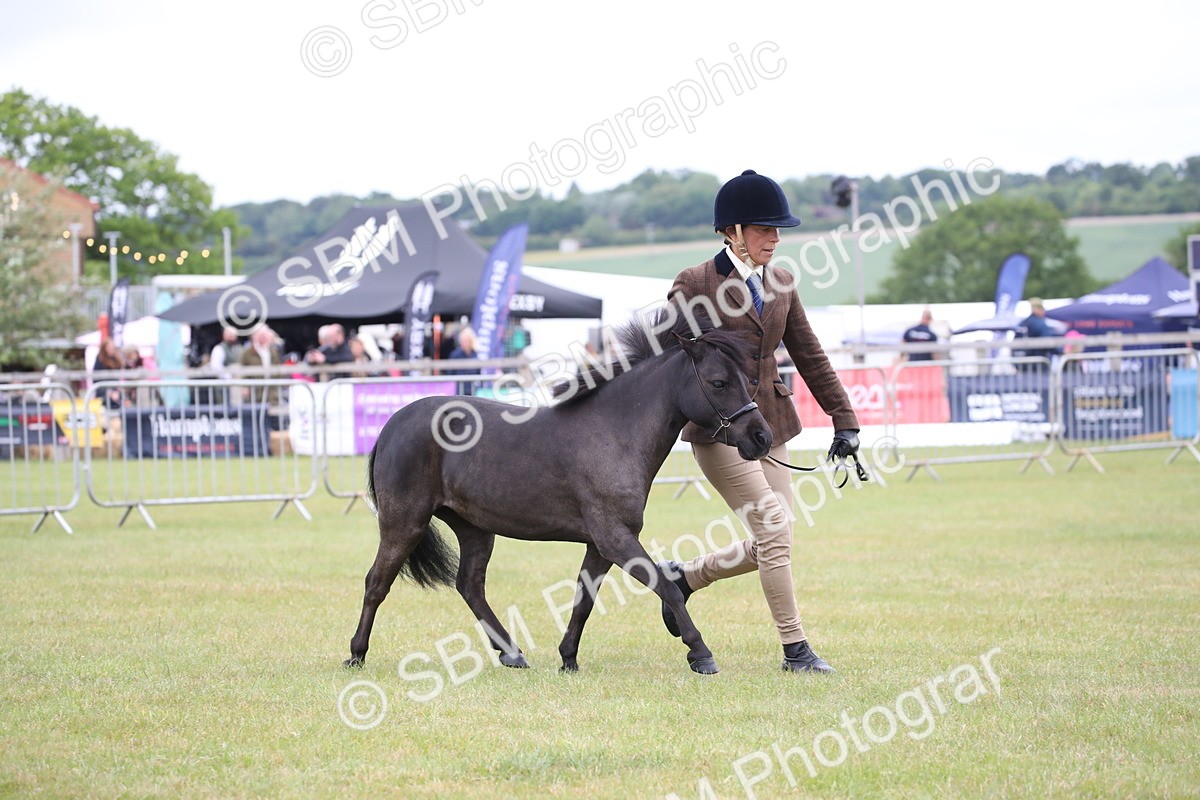 SBM_03946 - Class 23-25 - British Miniature Horse of the Year