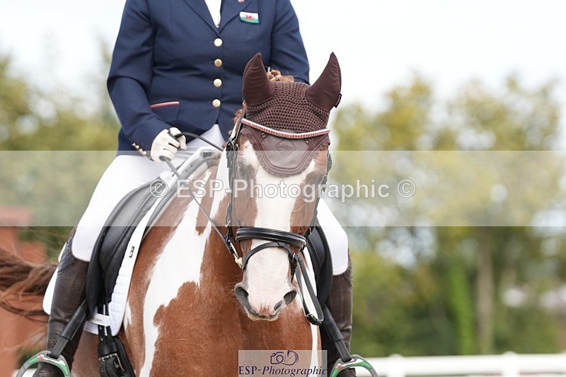 250906-131008-03538 - 016-Sarah.canningJohnny.Knoxville