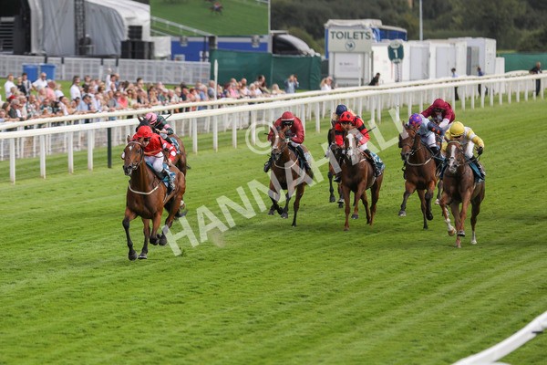 280723-Race 1-Tele Red-2655 - Race 1 5.00pm Pearly Cow Handicap