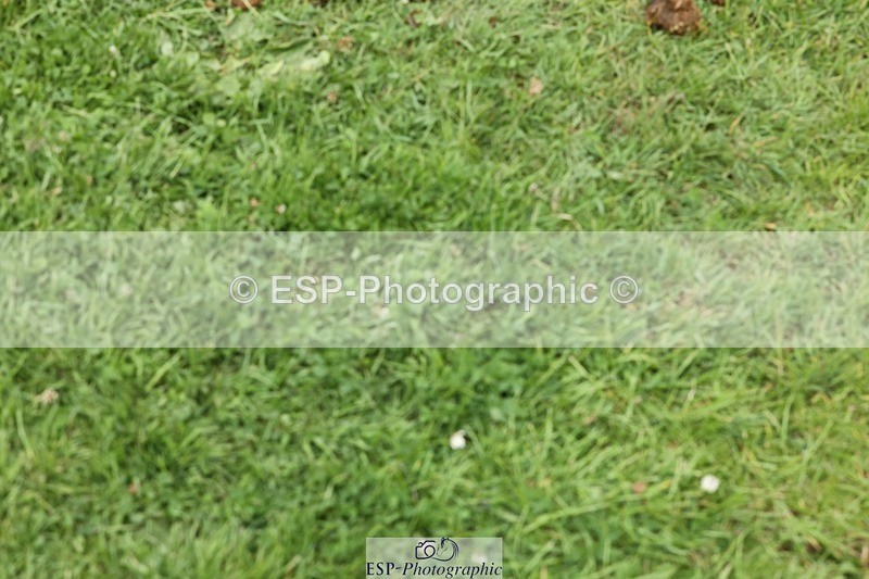 240704-112202-02322 - Cls 1 Foxhunter