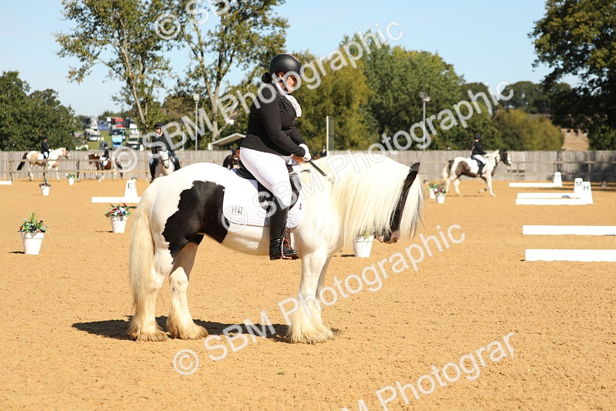 SBM_19642 - D10 - Small Tour Championship - Prelim 2