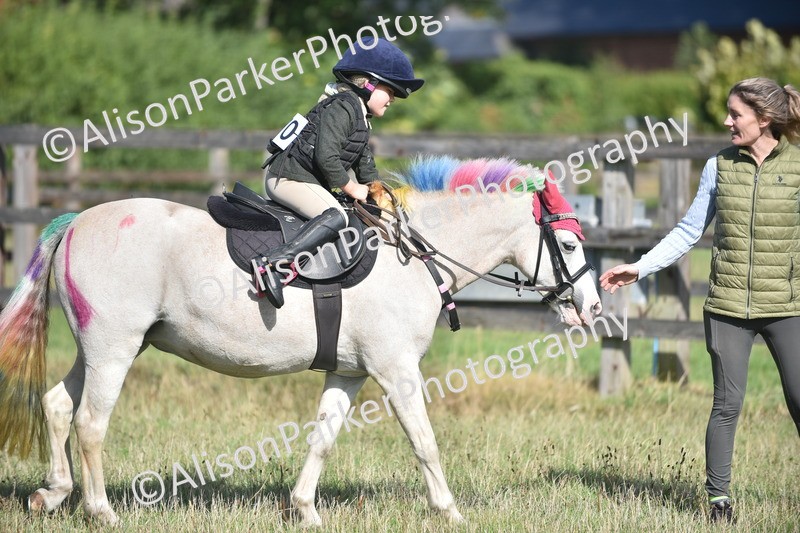 20260906-0976 - Class 7 - Absolute Novice Jumping 35cm