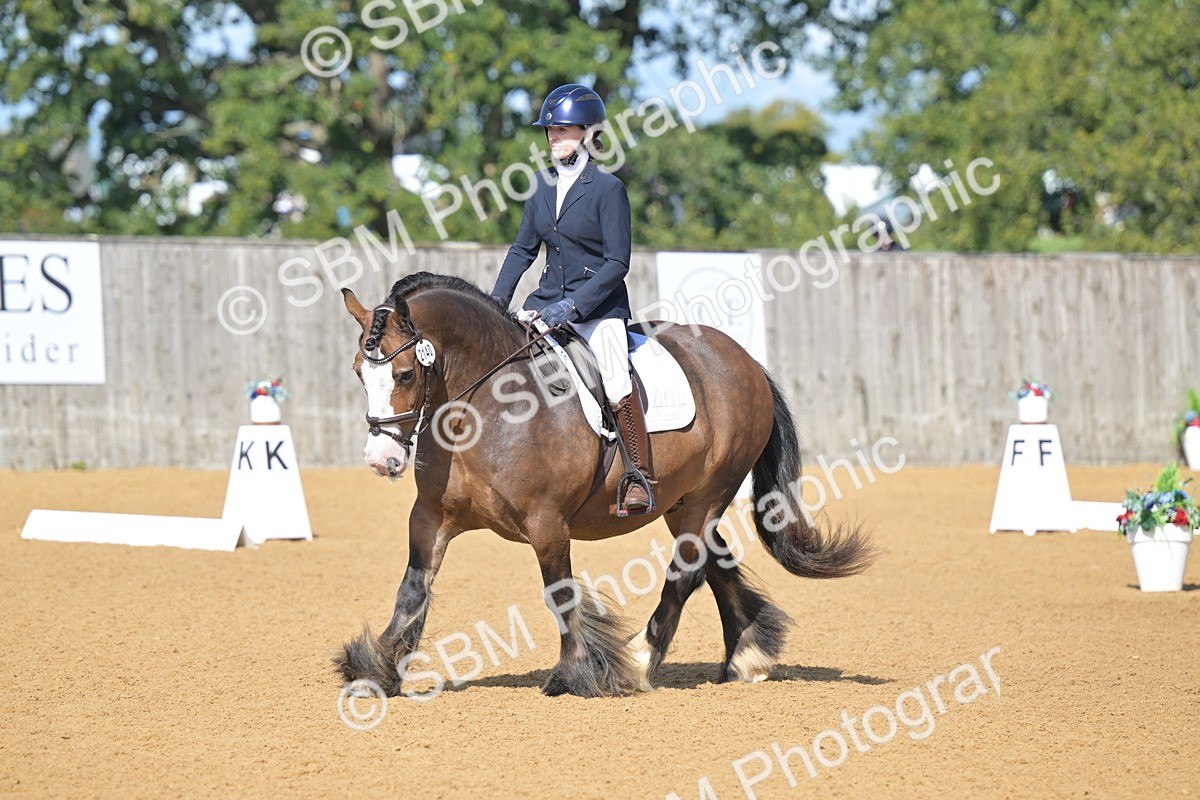 SBM_03932 - D2 - Small Tour Championship Intro 2