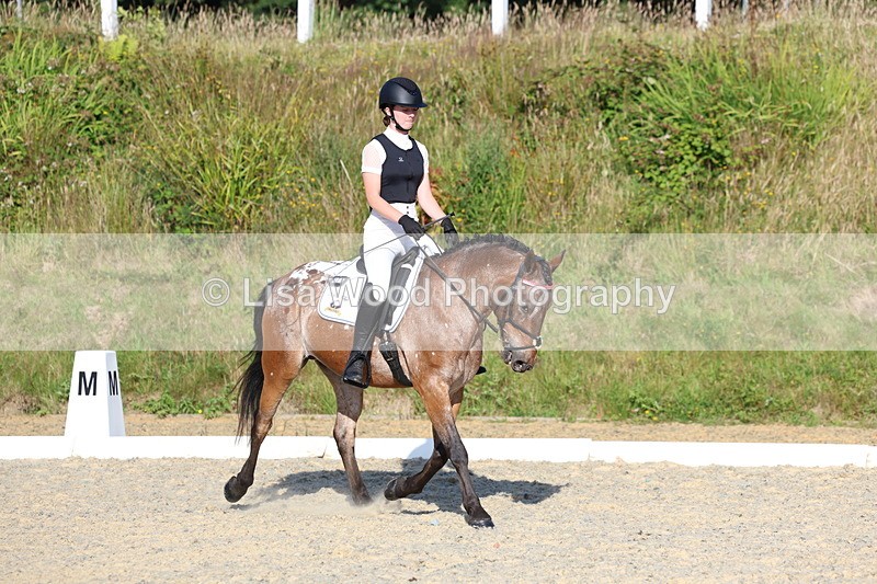 3E7A3636 - Class 2: Intro 1 2024 Section B