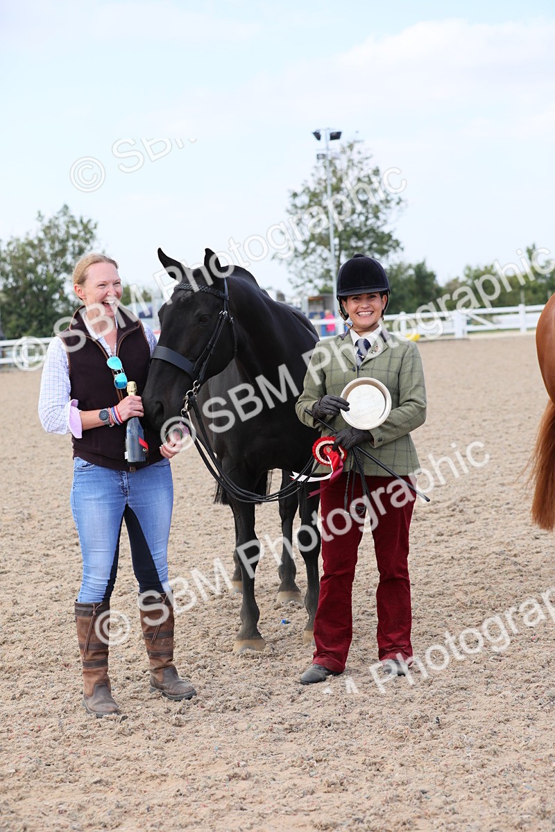 SBM_15842 - Class 312 IH Competition Horse/Pony
