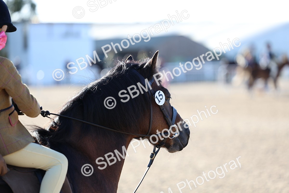 SBM_07844 - Class 301 - Ridden M&M - Small Breeds