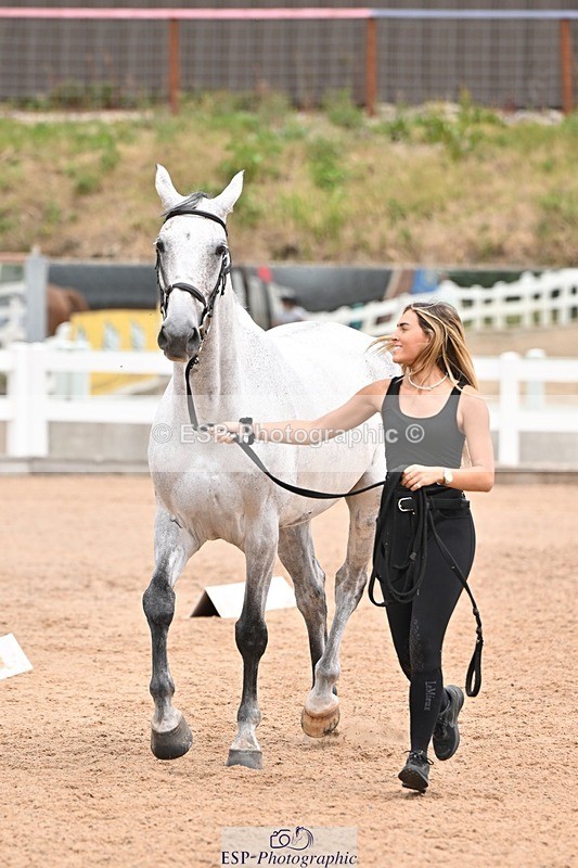 250716-144555-01374 - Trot Up 2.30 to 3.30