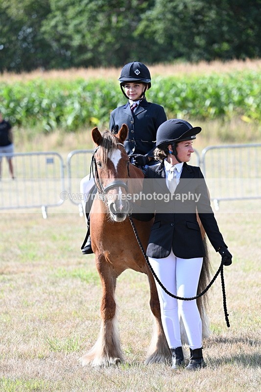 WJ7_2742 - Class 8 Ridden Tack & Turnout