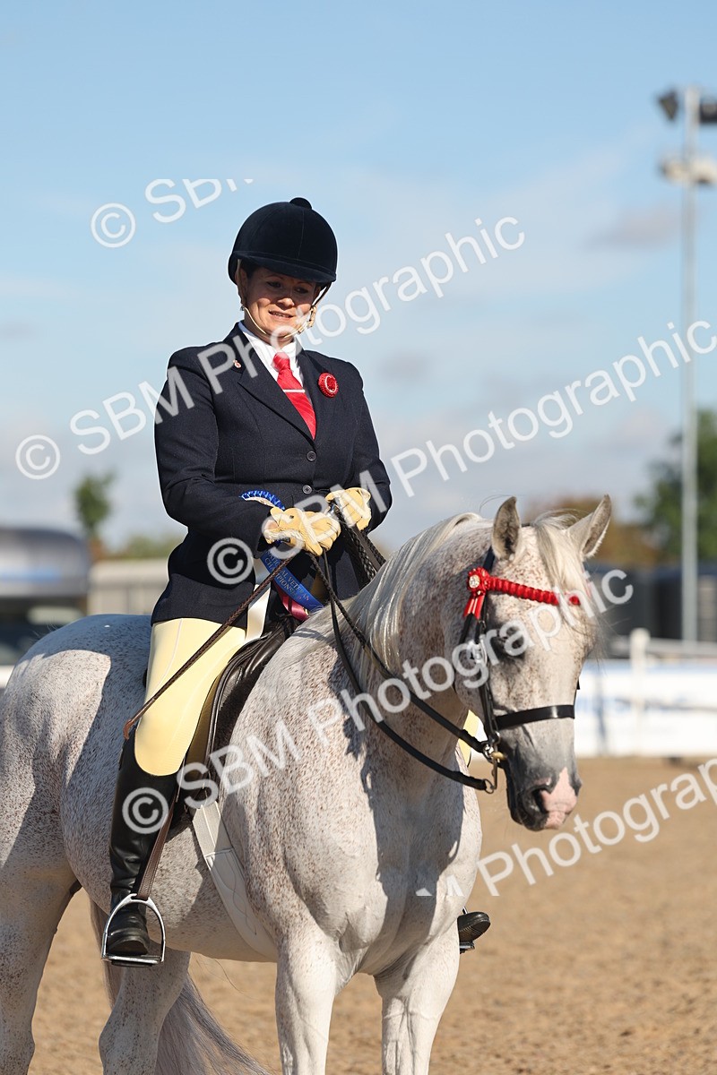 SBM_12253 - Class 303 - Ridden Pure Bred Horse Pony