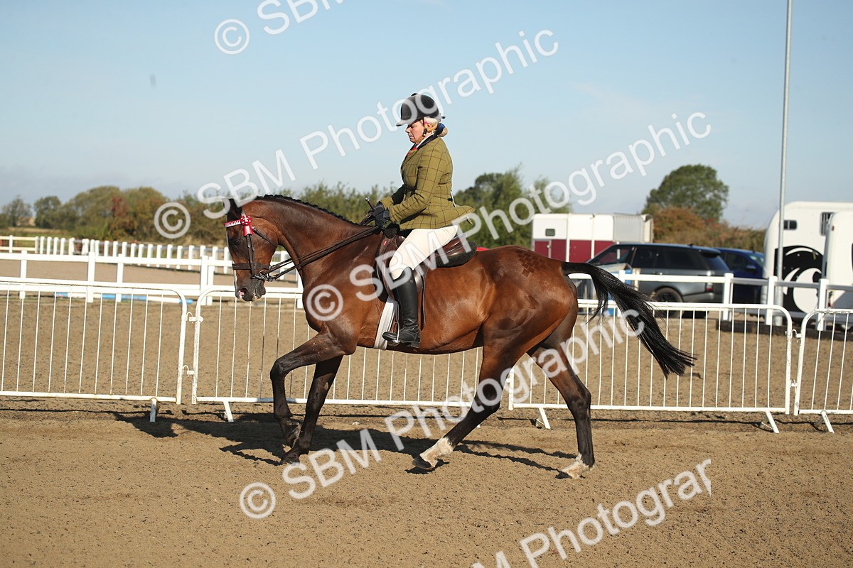 SBM_11314 - Class 501 -Riding Club Pony