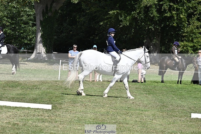 250822A-123117-21797 - DR 12.00 to End