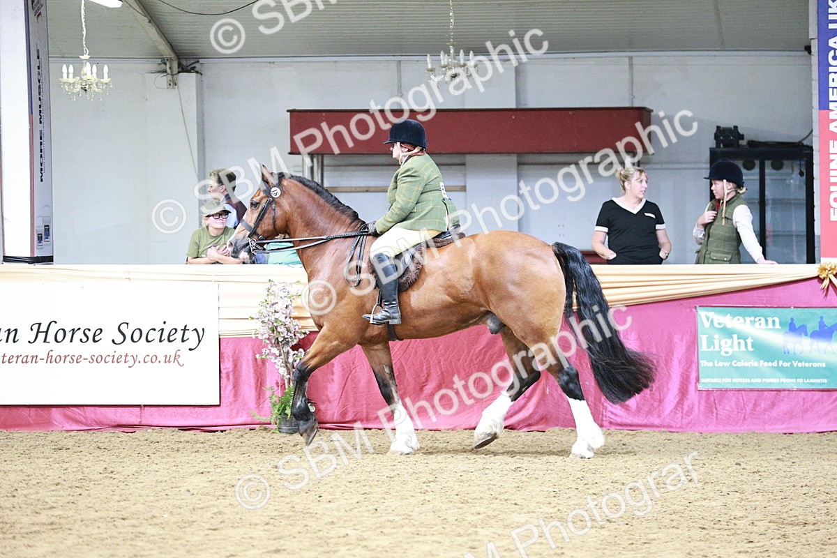 SBM_03617 - Class 6A Area Ridden Pre-Vet