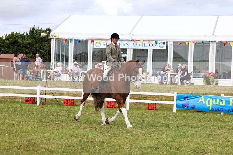 3E7A0283 - Class 6: Rising Star Maxi Cobs