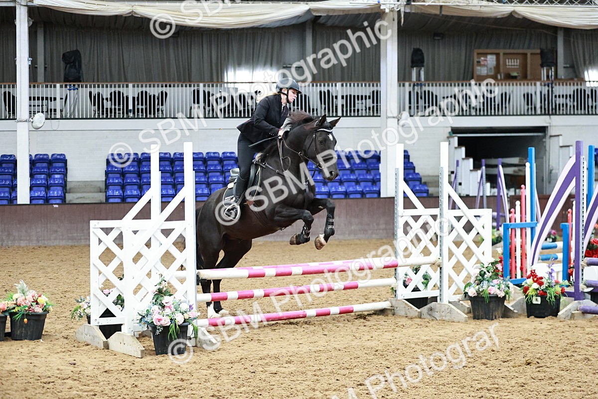 SBM_000200 - Class 1 - Clear Round Show Jumping 80cm