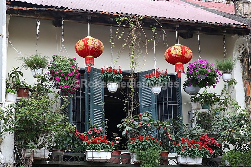 VIET_1241 - Vietnam 2017